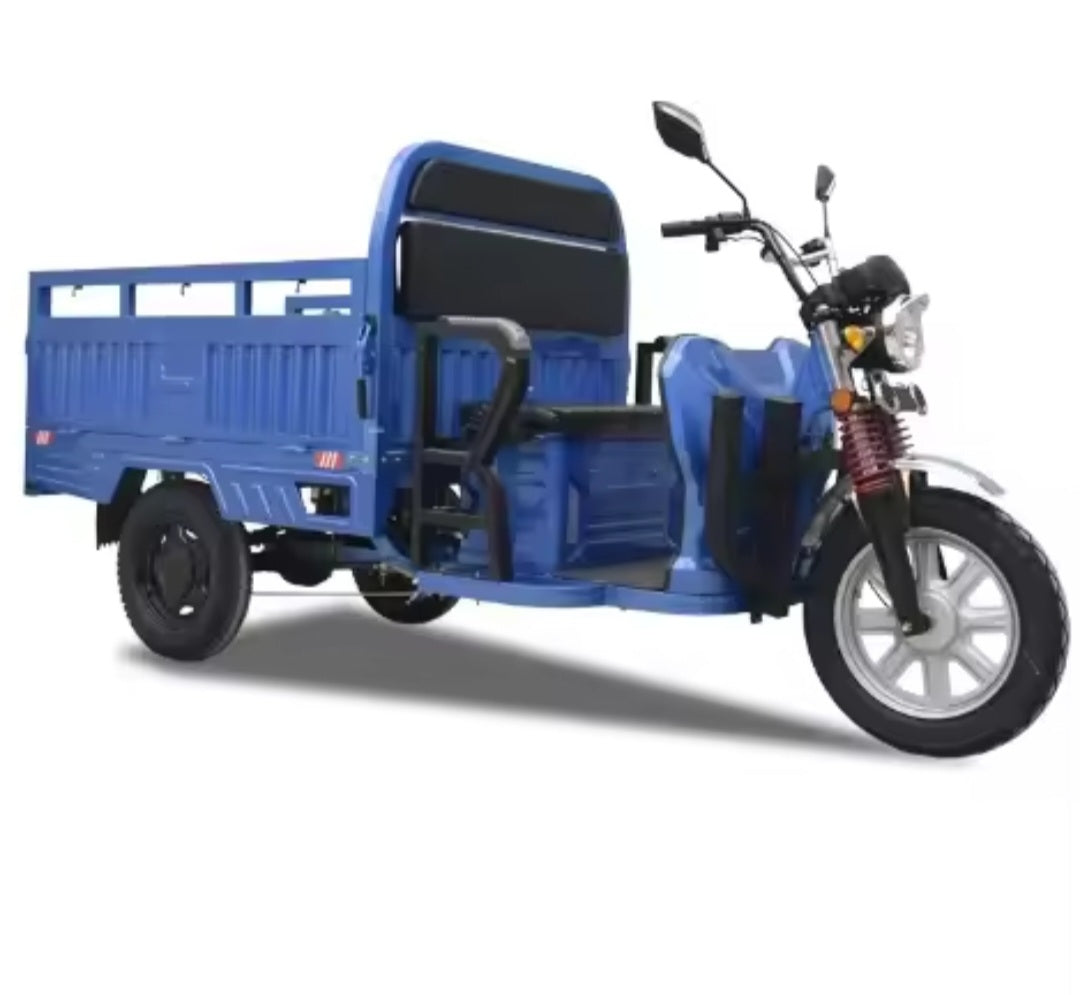 Tricycle électrique e-Trikes pour adultes, moto cargo bon marché, 3 roues