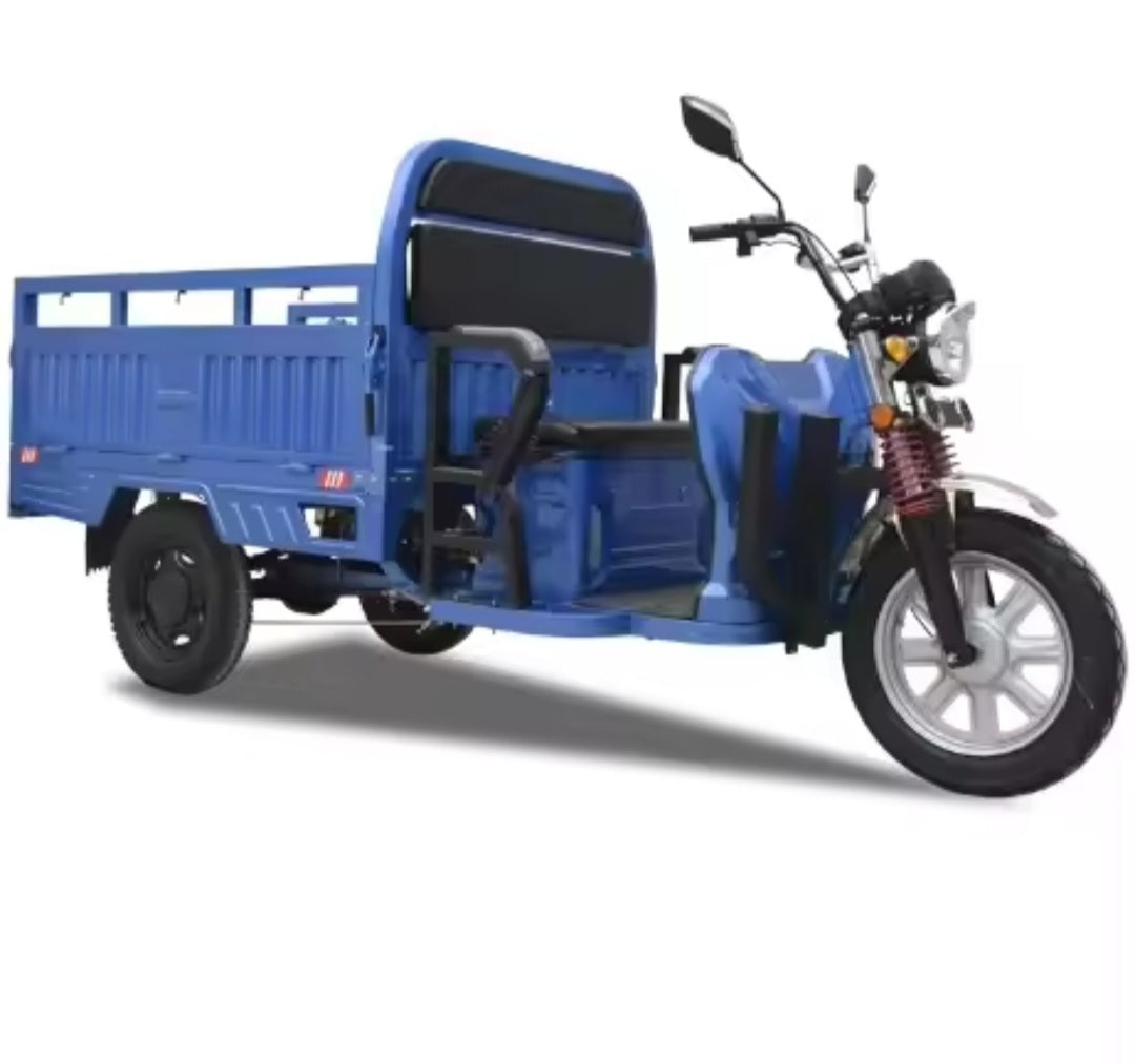 Tricycle électrique e-Trikes pour adultes, moto cargo bon marché, 3 roues