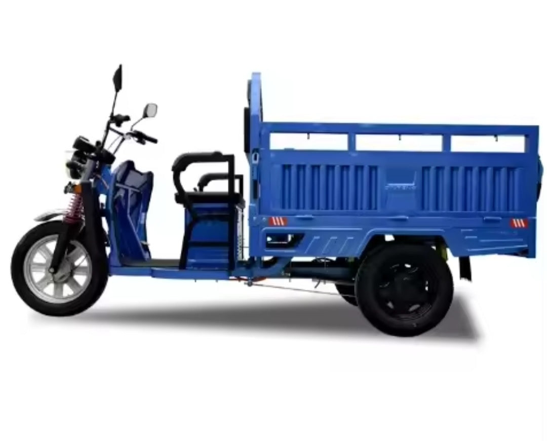 Tricycle électrique e-Trikes pour adultes, moto cargo bon marché, 3 roues