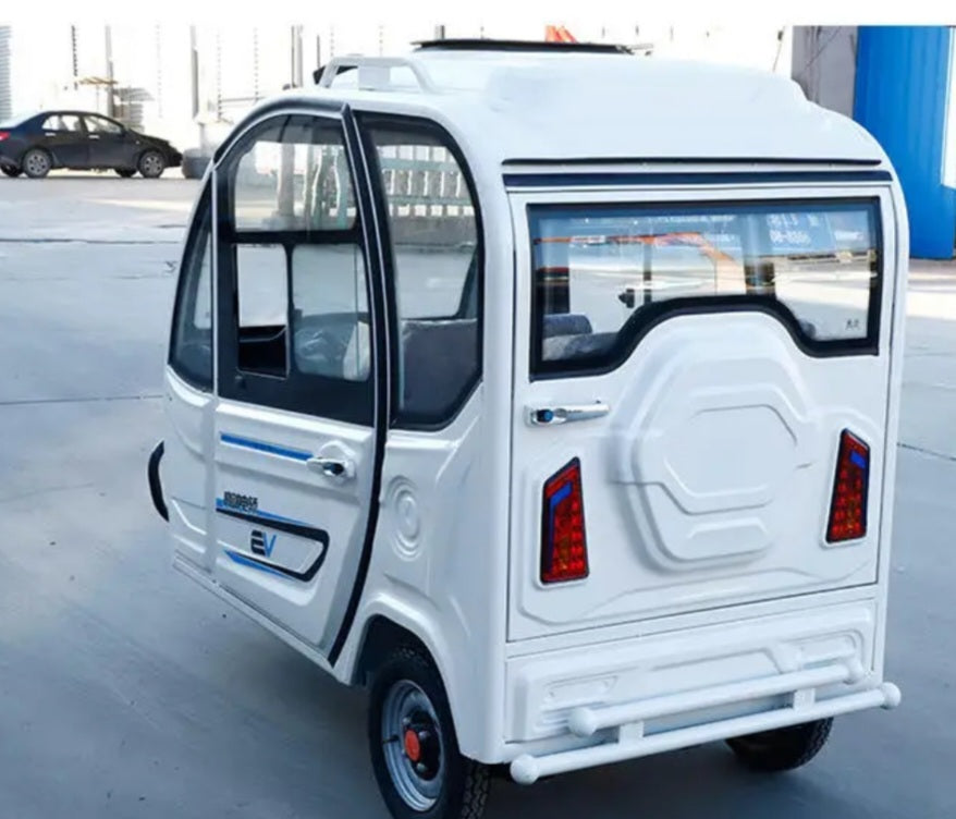 Electric Tricycle Full enclose convertibles for adults, large space