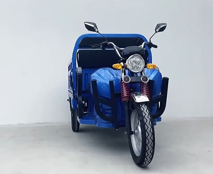 Tricycle électrique e-Trikes pour adultes, moto cargo bon marché, 3 roues
