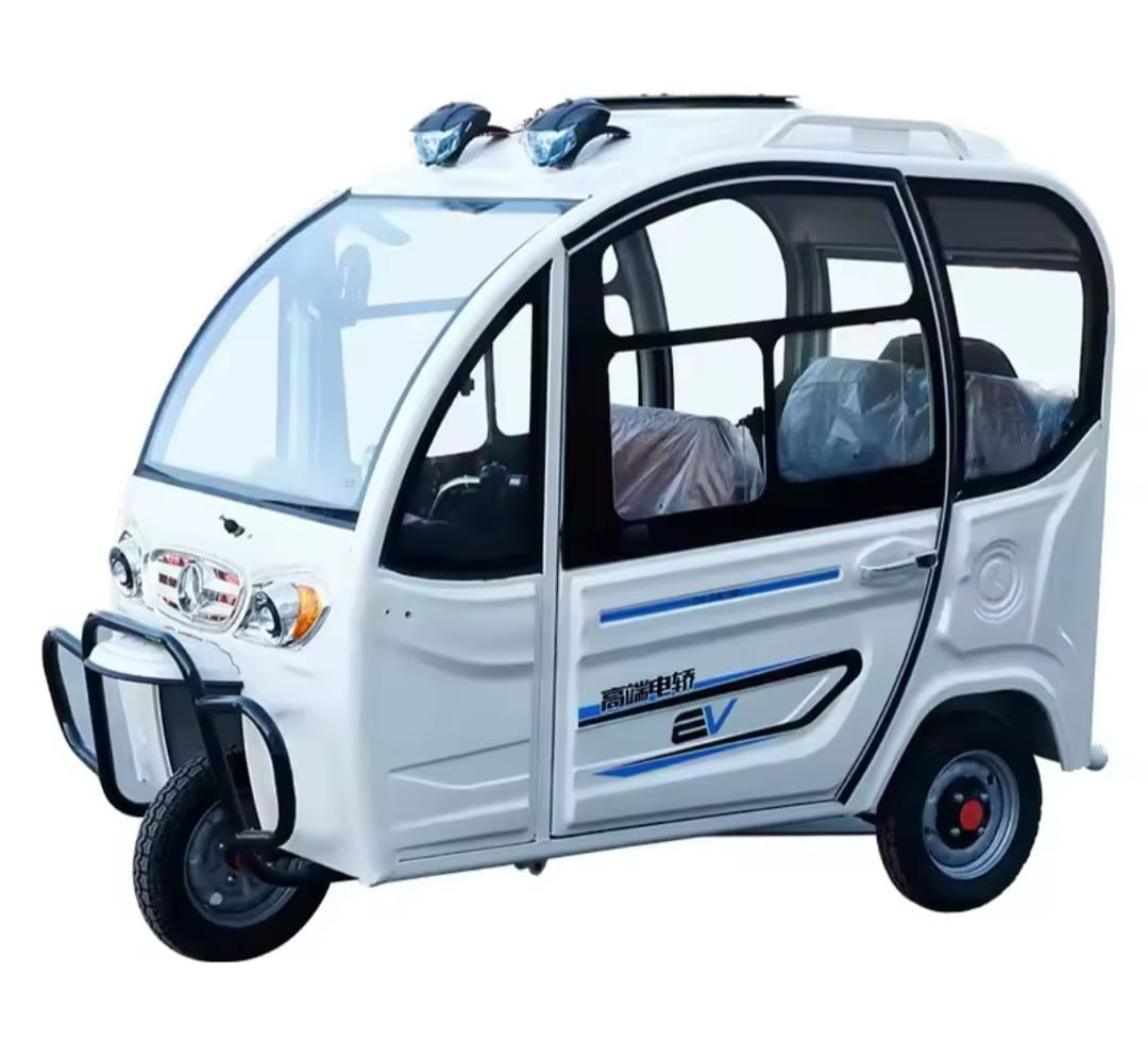 Electric Tricycle Full enclose convertibles for adults, large space