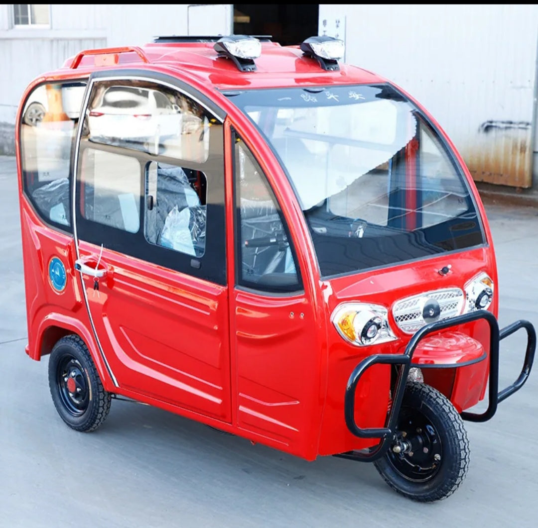 Electric Tricycle Full enclose convertibles for adults, large space